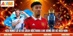 Kèo Rung Là Gì Và Cách Đọc Odds Live Bóng Đá Dễ Hiểu Hơn